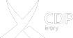 cdp.cz