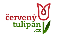 cervenytulipan.cz